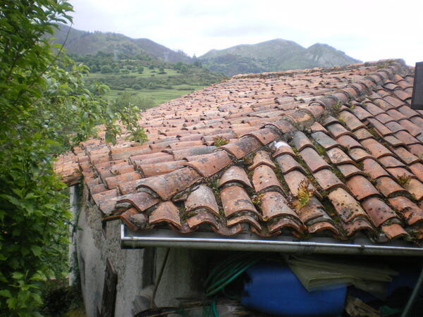 Sustitución cubierta vivienda unifamiliar La Vega de los Caseros Parres