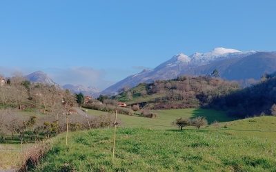 Tipos de Suelo Edificables en Asturias